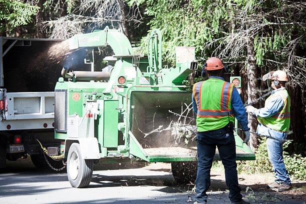 Best Storm Damage Tree Cleanup  in Durham, OR